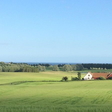 Garden Mellan Slotten Svarte Екстериор снимка
