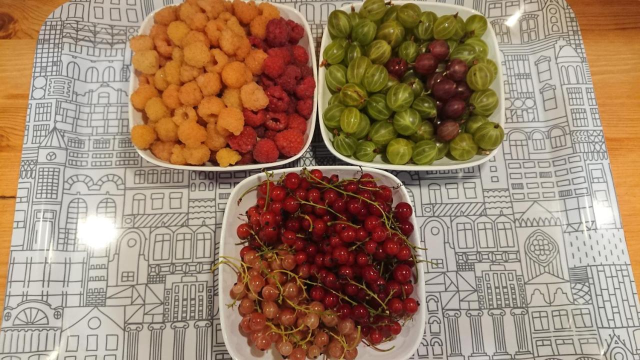 Garden Mellan Slotten Svarte Екстериор снимка