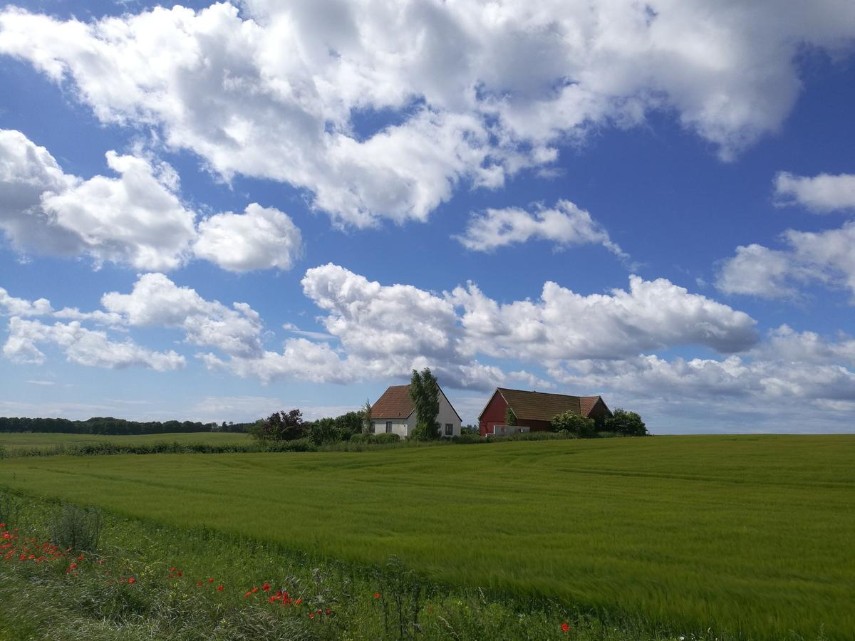Garden Mellan Slotten Svarte Екстериор снимка