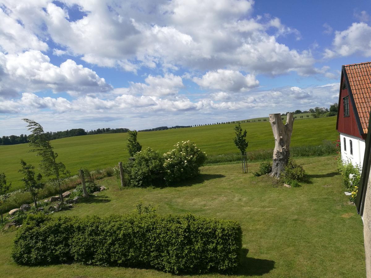 Garden Mellan Slotten Svarte Екстериор снимка