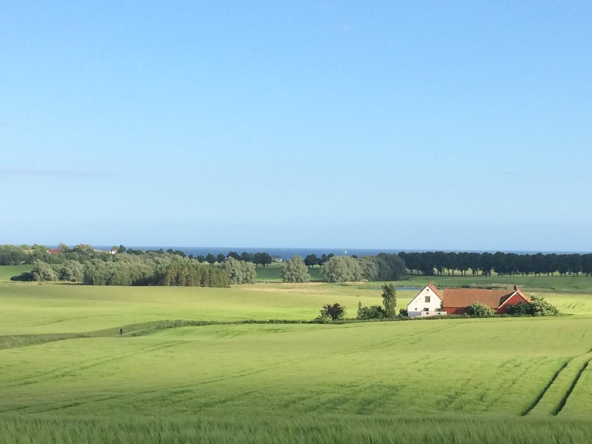 Garden Mellan Slotten Svarte Екстериор снимка