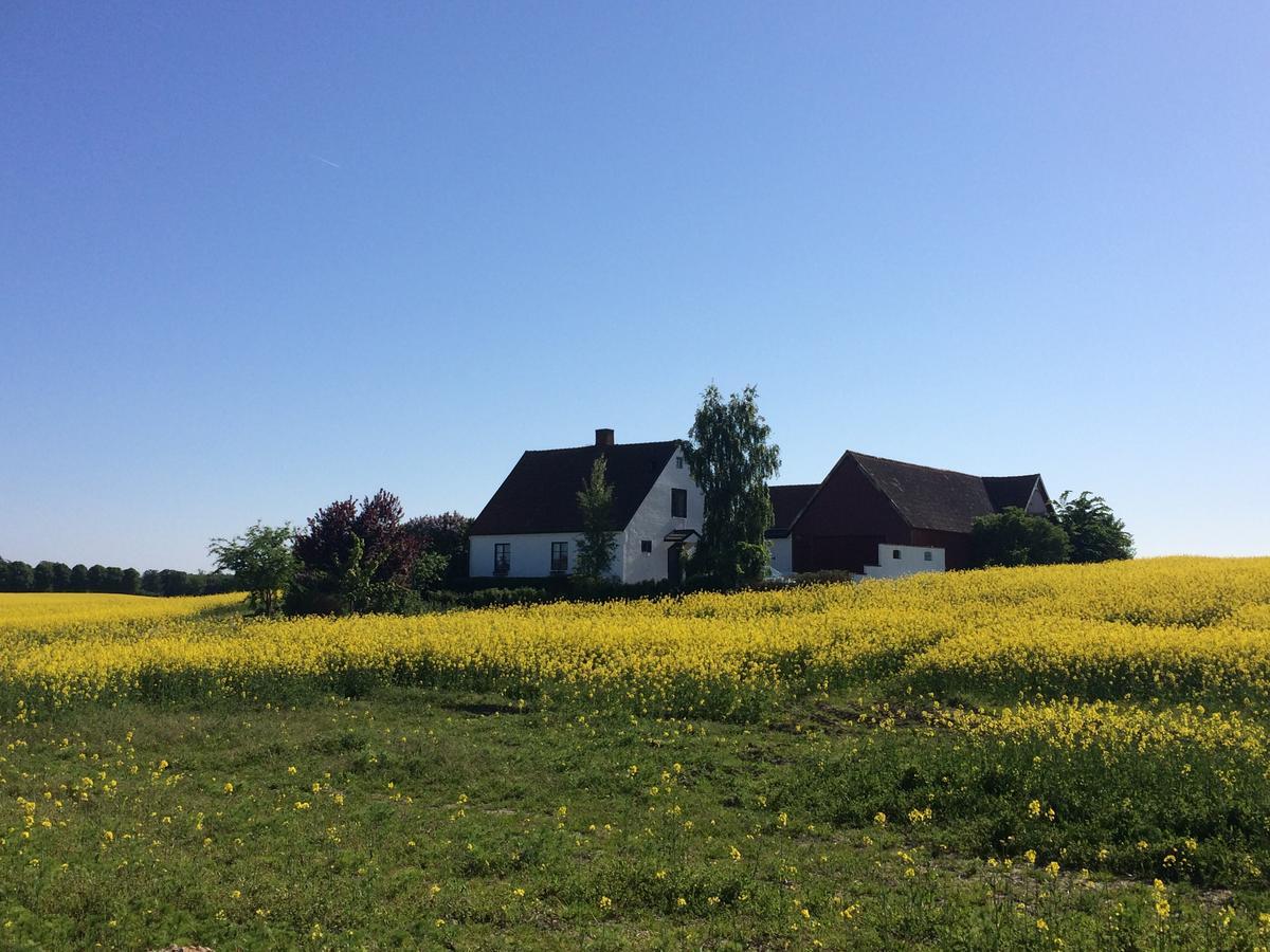 Garden Mellan Slotten Svarte Екстериор снимка