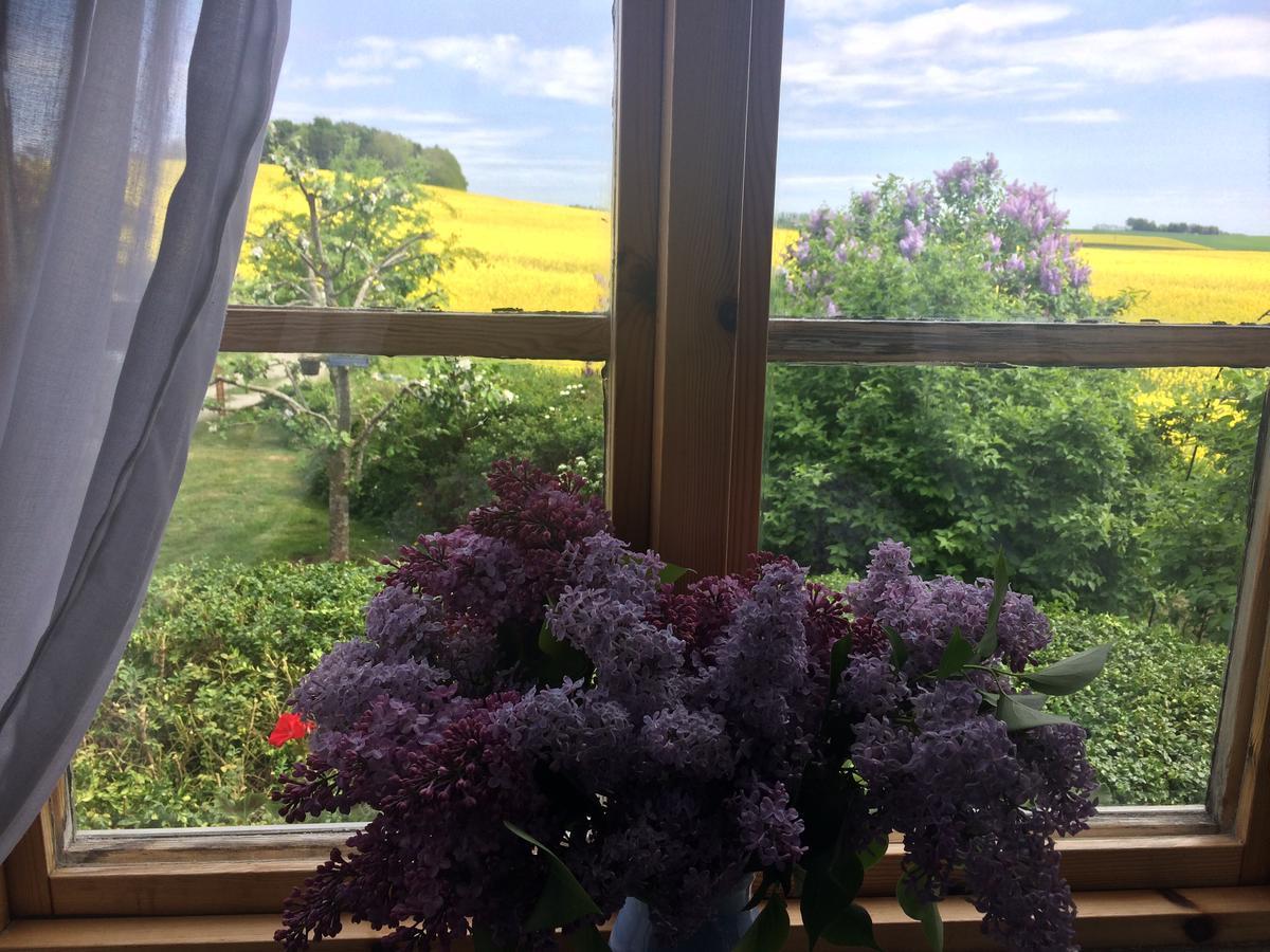 Garden Mellan Slotten Svarte Екстериор снимка