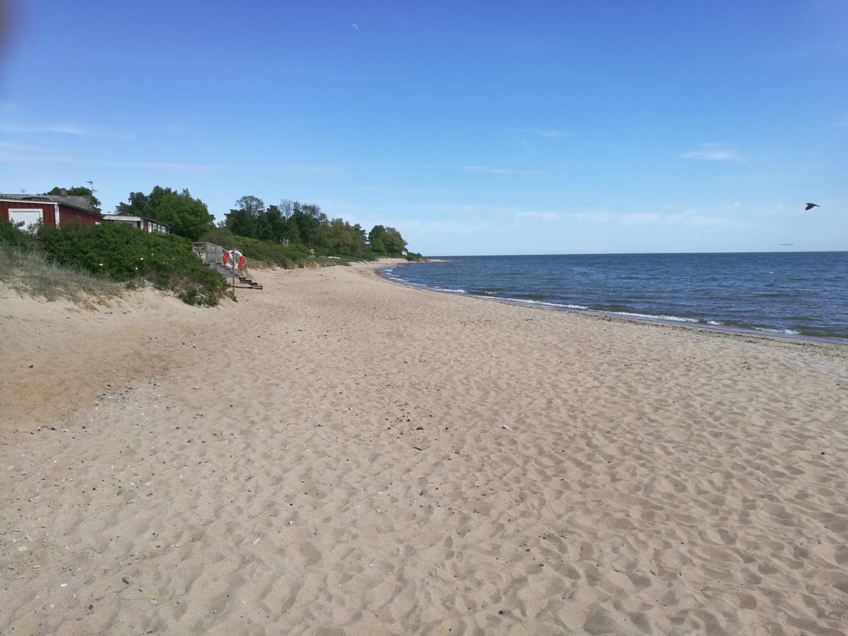 Garden Mellan Slotten Svarte Екстериор снимка