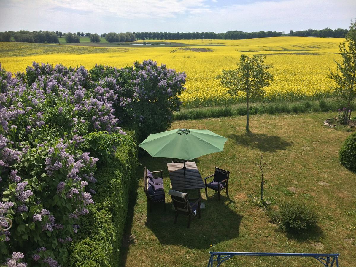 Garden Mellan Slotten Svarte Екстериор снимка
