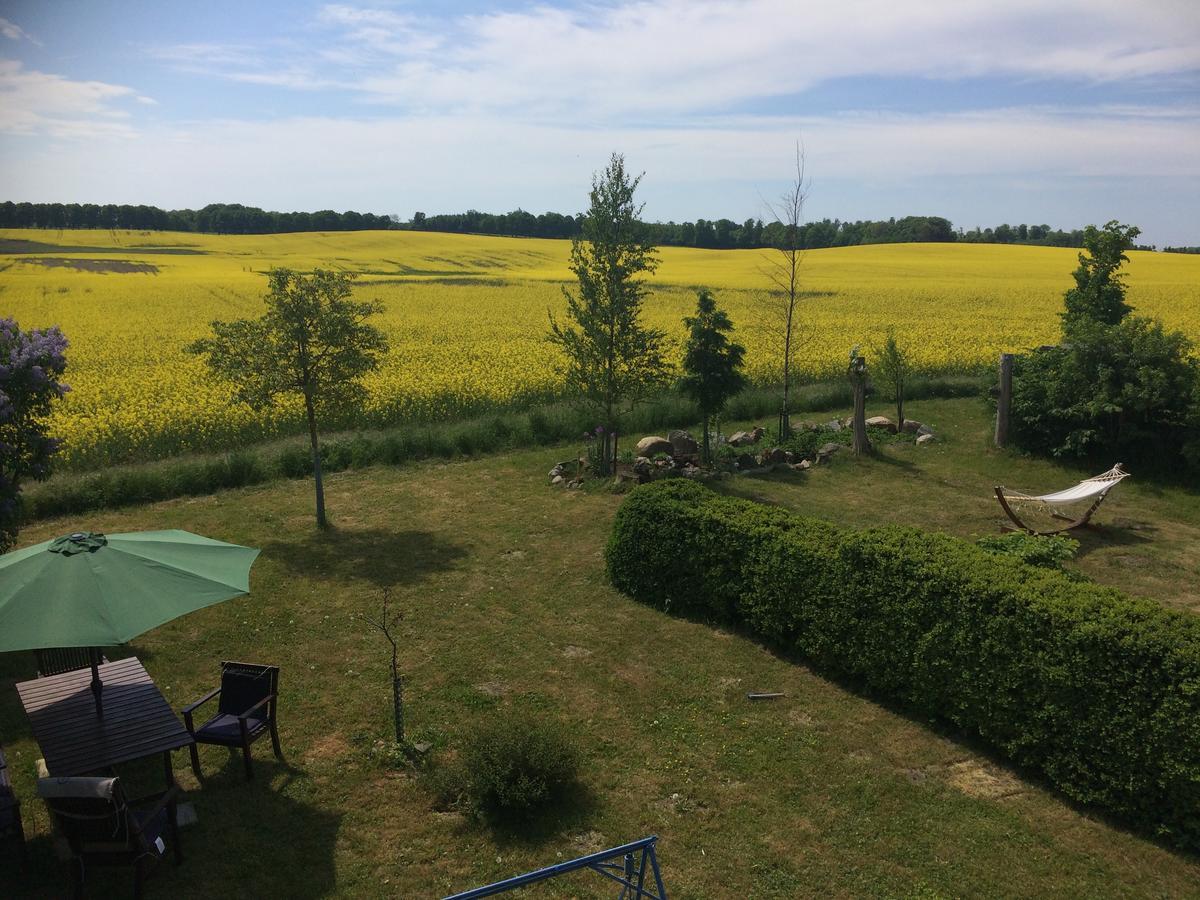 Garden Mellan Slotten Svarte Екстериор снимка