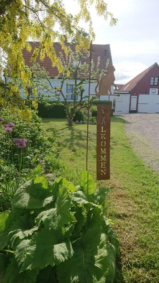 Garden Mellan Slotten Svarte Екстериор снимка