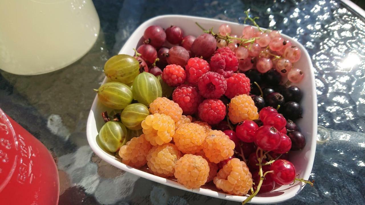 Garden Mellan Slotten Svarte Екстериор снимка